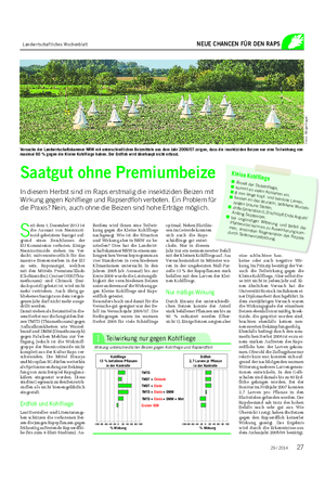 Landwirtschaftliches Wochenblatt NEUE CHANCEN FÜR DEN RAPS S eit dem 1.