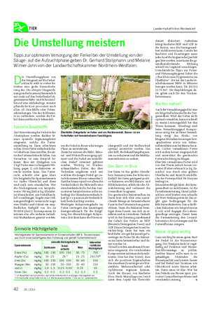 TIER Landwirtschaftliches Wochenblatt Die Umstellung meistern Tipps zur optimalen Versorgung der Ferkel bei der Umstellung von der Säuge- auf die Aufzuchtphase geben Dr.