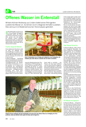 TIER Landwirtschaftliches Wochenblatt Offenes Wasser im Entenstall Wilhelm Kollmer-Heidkamp aus Lindern bietet seinen Pekingenten zusätzliches Wasser an.