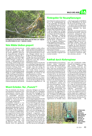 Landwirtschaftliches Wochenblatt WALD UND JAGD Viele Wälder bleiben gesperrt Nach wie ist das Betreten der am Pfingstwochenende von dem Sturm „Ela“ heimgesuchten Wäl- der extrem gefährlich.
