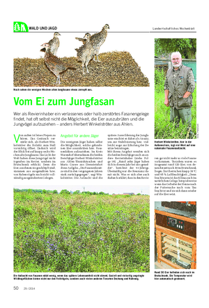 WALD UND JAGD Landwirtschaftliches Wochenblatt V on außen ist leises Piepen zu hören.