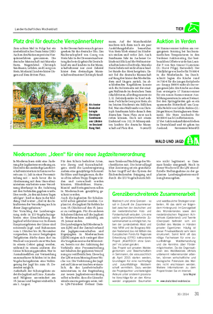 Landwirtschaftliches Wochenblatt TIER WALD UND JAGD Platz drei für deutsche Vierspännerfahrer Zum achten Mal in Folge hat ein niederländisches Team beim CHIO Aachen den Nationenpreis im Vier- spännerfahren gewonnnen.