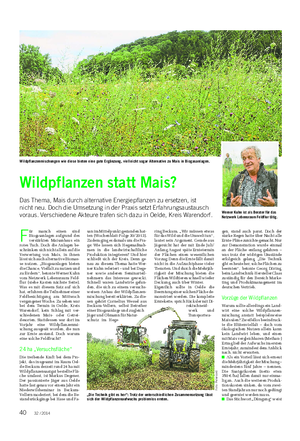 WALD UND JAGD Landwirtschaftliches Wochenblatt Wildpflanzenmischungen wie diese bieten eine gute Ergänzung, vielleicht sogar Alternative zu Mais in Biogasanlagen.