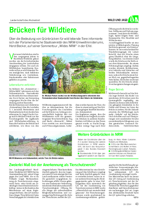 Landwirtschaftliches Wochenblatt WALD UND JAGD V ier neue Grünbrücken sind in den vergangenen Jahren in Nordrhein-Westfalen gebaut worden, um der fortschreitenden Zerschneidung der Landschaften entgegenzu wirken.