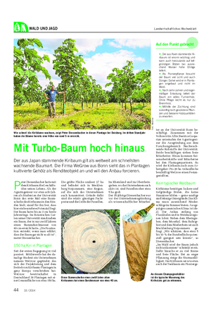 WALD UND JAGD Landwirtschaftliches Wochenblatt P eter Diessenbacher hatte mit dem Kiribaum die Geschäfts- idee seines Lebens.