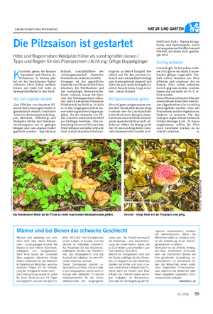 Landwirtschaftliches Wochenblatt NATUR UND GARTEN K lassisch gelten die Monate September und Oktober als Pilzsaison.