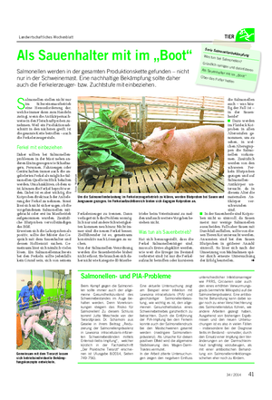 Landwirtschaftliches Wochenblatt TIER Als Sauenhalter mit im „Boot“ Salmonellen werden in der gesamten Produktionskette gefunden – nicht nur in der Schweinemast.