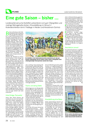 PFLANZE Landwirtschaftliches Wochenblatt Eine gute Saison – bisher .