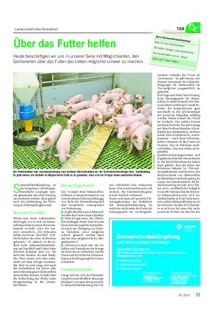 Landwirtschaftliches Wochenblatt TIER S almonellenbekämpfung ist ein komplexes Unterfangen.