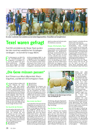 TIER Landwirtschaftliches Wochenblatt E in Spitzenpreis von 900 € für ein Texel-Mutterlamm und insgesamt 71 versteigerte Tie- re, das ist die Bilanz der nord- rhein-westfälischen Schaftage 2014.