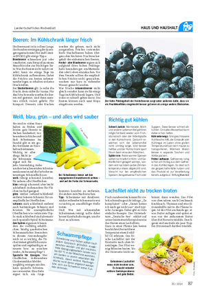Landwirtschaftliches Wochenblatt HAUS UND HAUSHALT Beeren: Im Kühlschrank länger frisch Die Beerenzeit ist in vollem Gange.