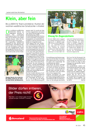 Landwirtschaftliches Wochenblatt TIER Klein, aber fein Bis zu 600 € für Texel-Lammböcke / Auktion der nordrhein-westfälischen Schafzüchter in Krefeld D ie nordrhein-westfälischen Schafzüchter führten am vergangenen Samstag in Krefeld ihre traditionelle Herbstauktion durch.
