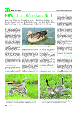 WALD UND JAGD Landwirtschaftliches Wochenblatt R und 22 500 Wildgänse ka- men im Jagdjahr 2012/13 in Nordrhein-Westfalen zur Strecke.