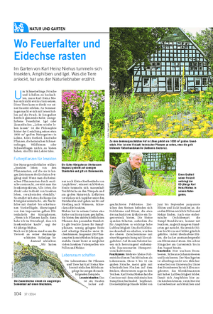 NATUR UND GARTEN Landwirtschaftliches Wochenblatt Wo Feuerfalter und Eidechse rasten Im Garten von Karl Heinz Niehus tummeln sich Insekten, Amphibien und Igel.