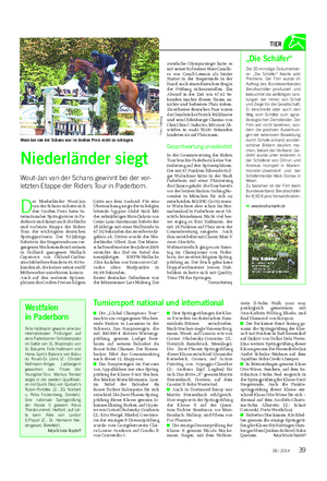 Landwirtschaftliches Wochenblatt TIER D er Niederländer Wout-Jan van der Schans sicherte sich den Großen Preis beim In- ternationalen Springturnier in Pa- derborn und damit auch die fünfte und vorletzte Etappe der Riders Tour, der wichtigsten deutschen Springsportserie.