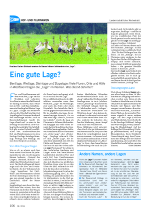 HOF- UND FLURNAMEN Landwirtschaftliches Wochenblatt F lur- und Familiennamen mit dem Wörtchen „Lage“ sind in Westfalen weit verbreitet.