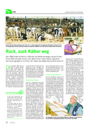 TIER Landwirtschaftliches Wochenblatt D ie wenigsten Münsteraner würden es ahnen: Mitten in ihrer Stadt findet ein- mal im Monat eine Auktion für Kälber und Fresser statt.
