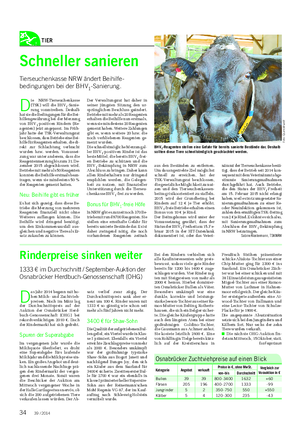 TIER Landwirtschaftliches Wochenblatt Schneller sanieren Tierseuchenkasse NRW ändert Beihilfe- bedingungen bei der BHV1-Sanierung.
