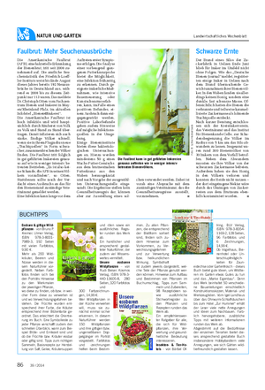 NATUR UND GARTEN Landwirtschaftliches Wochenblatt 39 / 2014 Faulbrut: Mehr Seuchenausbrüche Die Amerikanische Faulbrut (AFB), eine bakterielle Erkrankung der Bienenbrut, tritt seit 2008 zu- nehmend auf.