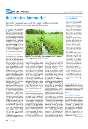 HOF- UND FLURNAMEN Landwirtschaftliches Wochenblatt Ackern im Jammertal Bachläufe, Flussniederungen und Täler prägen die Naturlandschaft Westfalens.