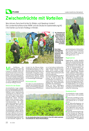 PFLANZE Landwirtschaftliches Wochenblatt Zwischenfrüchte mit Vorteilen Was können Zwischenfrüchte für Böden und Gewässer leisten?