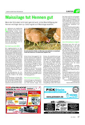 Landwirtschaftliches Wochenblatt EUROTIER Maissilage tut Hennen gut Wenn der Schnabel nicht mehr gekürzt wird, ist die Beschäftigung der Hennen wichtiger denn je.