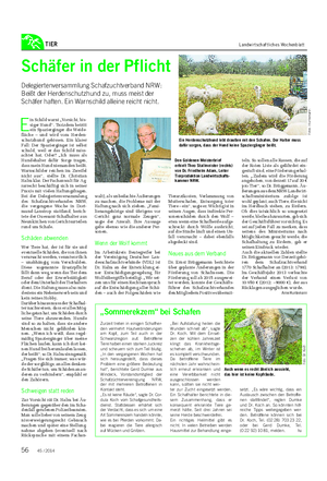 TIER Landwirtschaftliches Wochenblatt E in Schild warnt „Vorsicht, bis- siger Hund“.