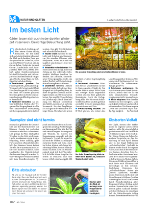 NATUR UND GARTEN Landwirtschaftliches Wochenblatt Baumpilze gefährden die Gesund- heit und die Standsicherheit von Bäumen.