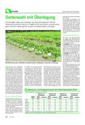 PFLANZE Landwirtschaftliches Wochenblatt Sortenwahl mit Überlegung Frühkartoffeln bilden den Einstieg in die Vermarktungssaison.