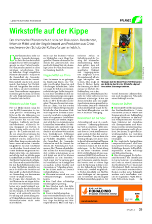 Landwirtschaftliches Wochenblatt PFLANZE Wirkstoffe auf der Kippe Der chemische Pflanzenschutz ist in der Diskussion.