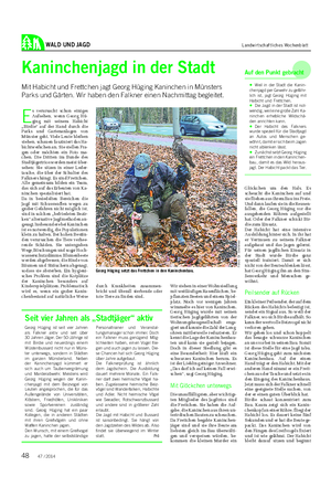WALD UND JAGD Landwirtschaftliches Wochenblatt Kaninchenjagd in der Stadt Mit Habicht und Frettchen jagt Georg Hüging Kaninchen in Münsters Parks und Gärten.