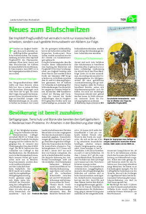 Landwirtschaftliches Wochenblatt TIER A uf der Mitgliederversamm- lung des Verbandes der Nie- dersächsischen Geflügel- wirtschaft (NGW) in Visbek wies Vorsitzender Friedrich-Otto Ripke eingangs auf die Gefahren der Vo- gelgrippe hin.