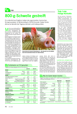 TIER 800-g-Schwelle gestreift Ein ordentliches Ergebnis haben die organisierten rheinischen Schweinemäster im Wirtschaftsjahr 2013/14 erzielt.