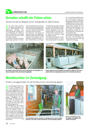 SCHWEINEHALTUNG Landwirtschaftliches Wochenblatt Wartebuchten im Zentralgang Einfach und zügig Verladen: So hat Felix Beuckmann seine Rampe geplant.