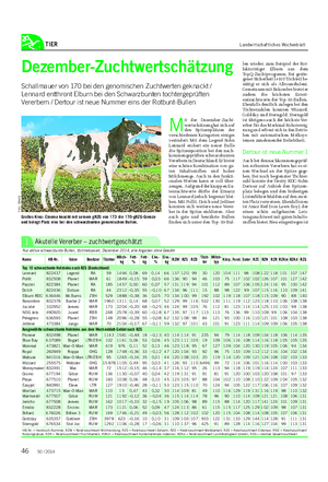TIER Landwirtschaftliches Wochenblatt len wieder, zum Beispiel der Rot- faktorträger Elburn aus dem TopQ-Zuchtprogramm.