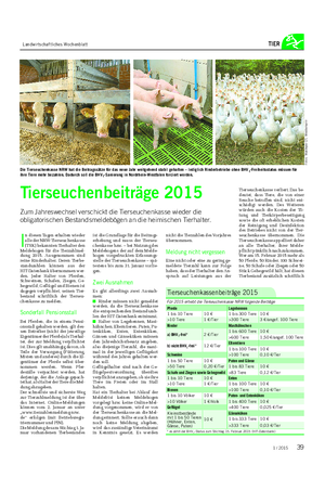 Landwirtschaftliches Wochenblatt TIER I n diesen Tagen erhalten wieder alle der NRW-Tierseuchenkasse (TSK) bekannten Tierhalter den Meldebogen für die Tierzahlmel- dung 2015.