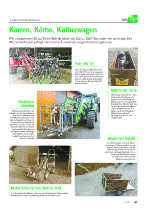 Landwirtschaftliches Wochenblatt TIER Karren, Körbe, Kälberwagen Wie transportieren Sie auf Ihrem Betrieb Kälber von Stall zu Stall?
