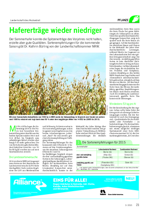 Landwirtschaftliches Wochenblatt PFLANZE Hafererträge wieder niedriger Der Sommerhafer konnte die Spitzenerträge des Vorjahres nicht halten, erzielte aber gute Qualitäten.