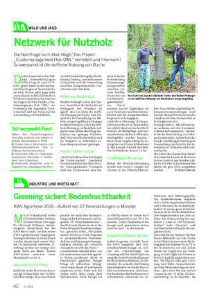 WALD UND JAGD Landwirtschaftliches Wochenblatt Netzwerk für Nutzholz Die Nachfrage nach Holz steigt / Das Projekt „Clustermanagement Holz OWL“ vermittelt und informiert / Schwerpunkt ist die stoffliche Nutzung von Buche D er Buchenanteil in den Wäl- dern Ostwestfalen-Lippes (OWL) liegt bei rund 36 %.