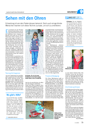 Landwirtschaftliches Wochenblatt GESUNDHEIT E s erscheint wie ein Wunder: Blinde Kinder fahren auf ih- rem Fahrrad durch die Stadt.
