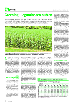 PFLANZE Landwirtschaftliches Wochenblatt Greening: Leguminosen nutzen Der Anbau von Ackerbohnen und Erbsen wird durch das Greening wieder interessant.