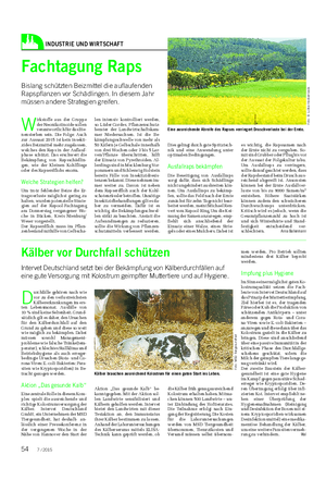 INDUSTRIE UND WIRTSCHAFT Kälber vor Durchfall schützen Intervet Deutschland setzt bei der Bekämpfung von Kälberdurchfällen auf eine gute Versorgung mit Kolostrum geimpfter Muttertiere und auf Hygiene.