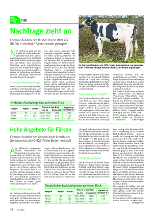 TIER Landwirtschaftliches Wochenblatt Nachfrage zieht an Februar-Auktion der Rinder-Union West eG (RUW) in Krefeld / Färsen wieder gefragter N ur 153 Färsen stark war das weibliche Verkaufskontin- gent anlässlich der Auktion der Rinder-Union West eG (RUW) in Krefeld.