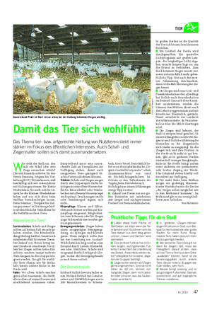 Landwirtschaftliches Wochenblatt TIER W ie sieht der Stall aus, den sich ein Schaf oder eine Ziege aussuchen würde?