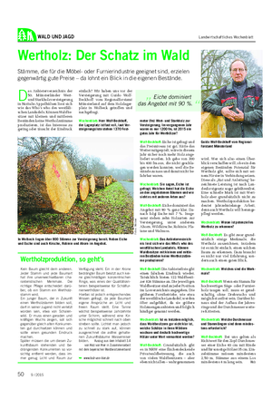 WALD UND JAGD Landwirtschaftliches Wochenblatt Wertholz: Der Schatz im Wald Stämme, die für die Möbel- oder Furnierindustrie geeignet sind, erzielen gegenwärtig gute Preise – da lohnt ein Blick in die eigenen Bestände.