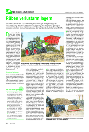 TECHNIK UND NEUE ENERGIE Landwirtschaftliches Wochenblatt Rüben verlustarm lagern Zuckerrüben lassen sich hervorragend in Biogasanlagen vergären.