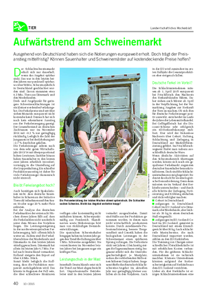 TIER Landwirtschaftliches Wochenblatt D er Schlachtschweinemarkt erholt sich nur dauerhaft, wenn das Angebot spürbar sinkt.