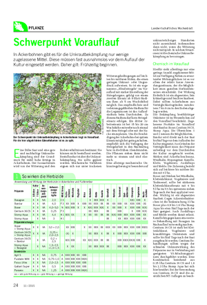 PFLANZE Landwirtschaftliches Wochenblatt E ine frühe Saat und eine gute und nachhaltige Unkrautbe- kämpfung sind der Grund- stock für stabil hohe Erträge in Ackerbohnen.