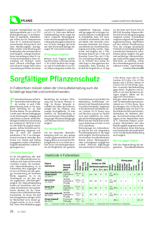 PFLANZE Landwirtschaftliches Wochenblatt besseren Verträglichkeit nur das Splittingverfahren mit 2 x 0,75 l/ ha Basagran bis max.