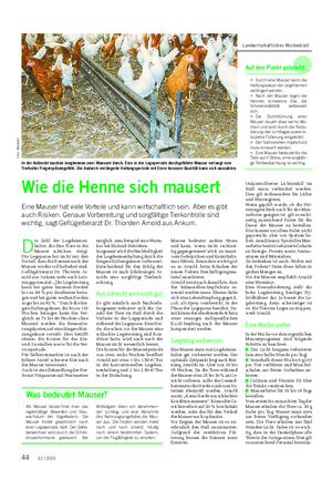 TIER Landwirtschaftliches Wochenblatt Wie die Henne sich mausert Eine Mauser hat viele Vorteile und kann wirtschaftlich sein.